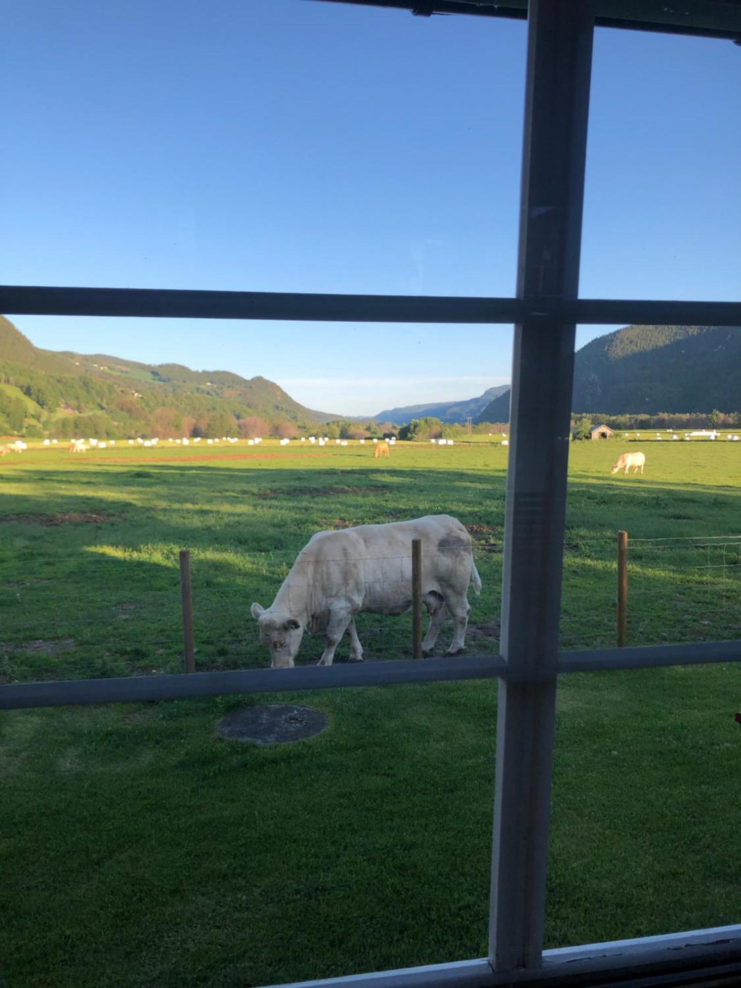 Villa Soltun Ringebu Exteriér fotografie