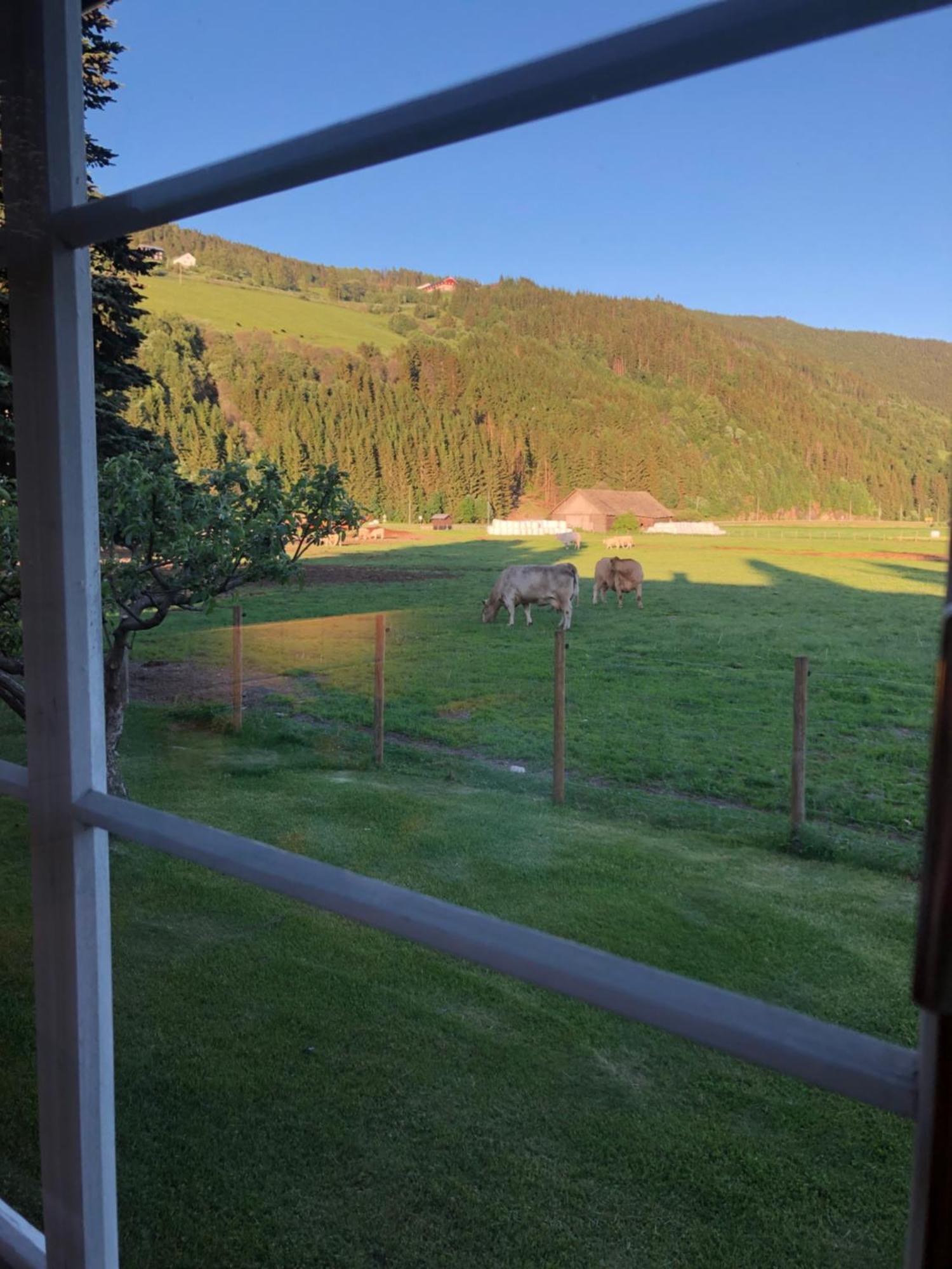 Villa Soltun Ringebu Exteriér fotografie